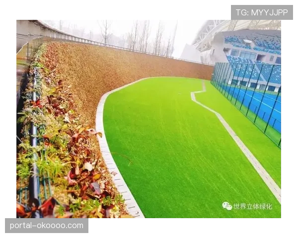 体育场馆能源管理当前引入碳追踪机制，支持绿色赛事举办