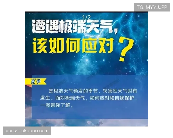 德甲赛程灵活调整机制，应对极端天气与突发事件